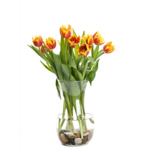 Flower red tulip hyacinth and calla.