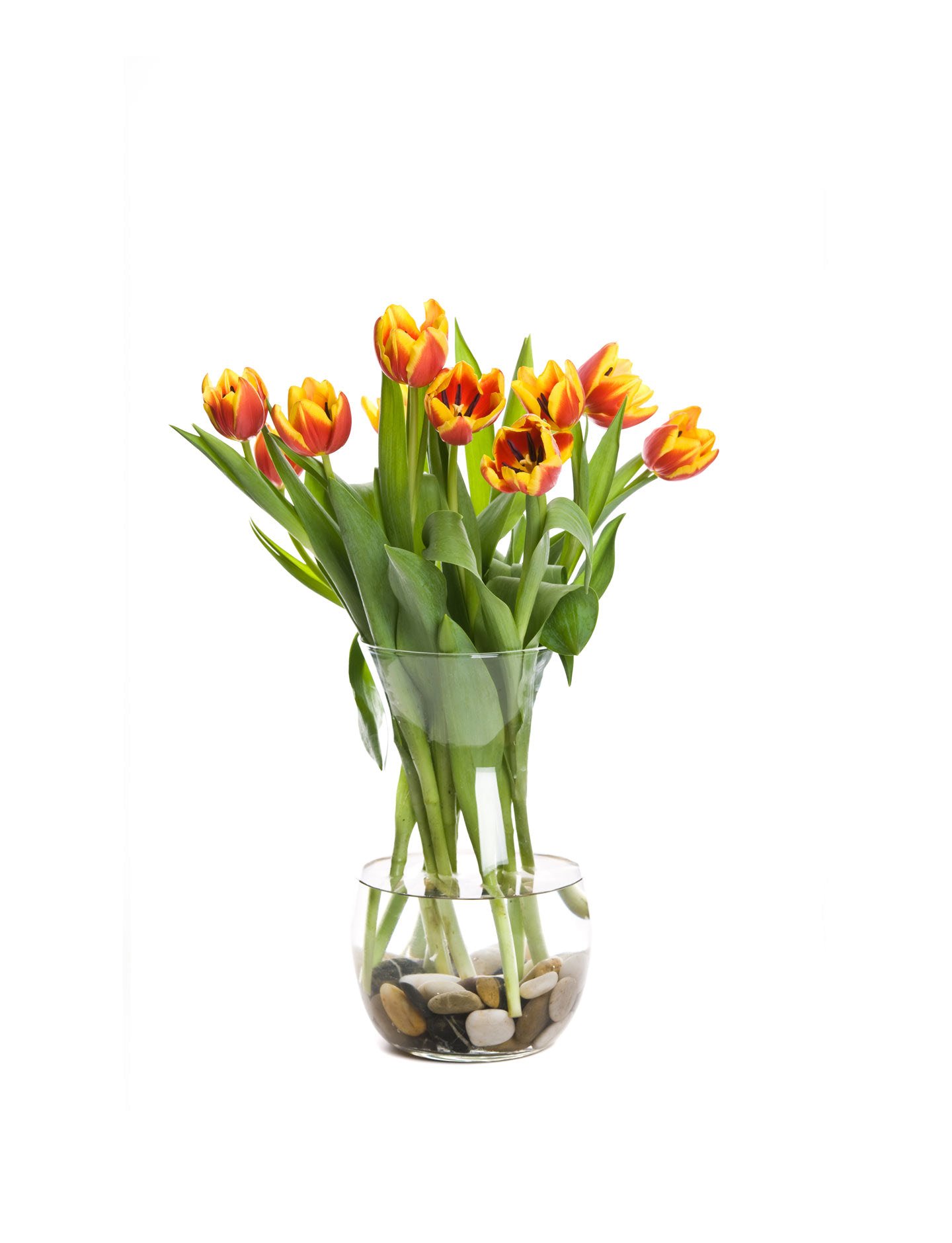Flower red tulip hyacinth and calla.