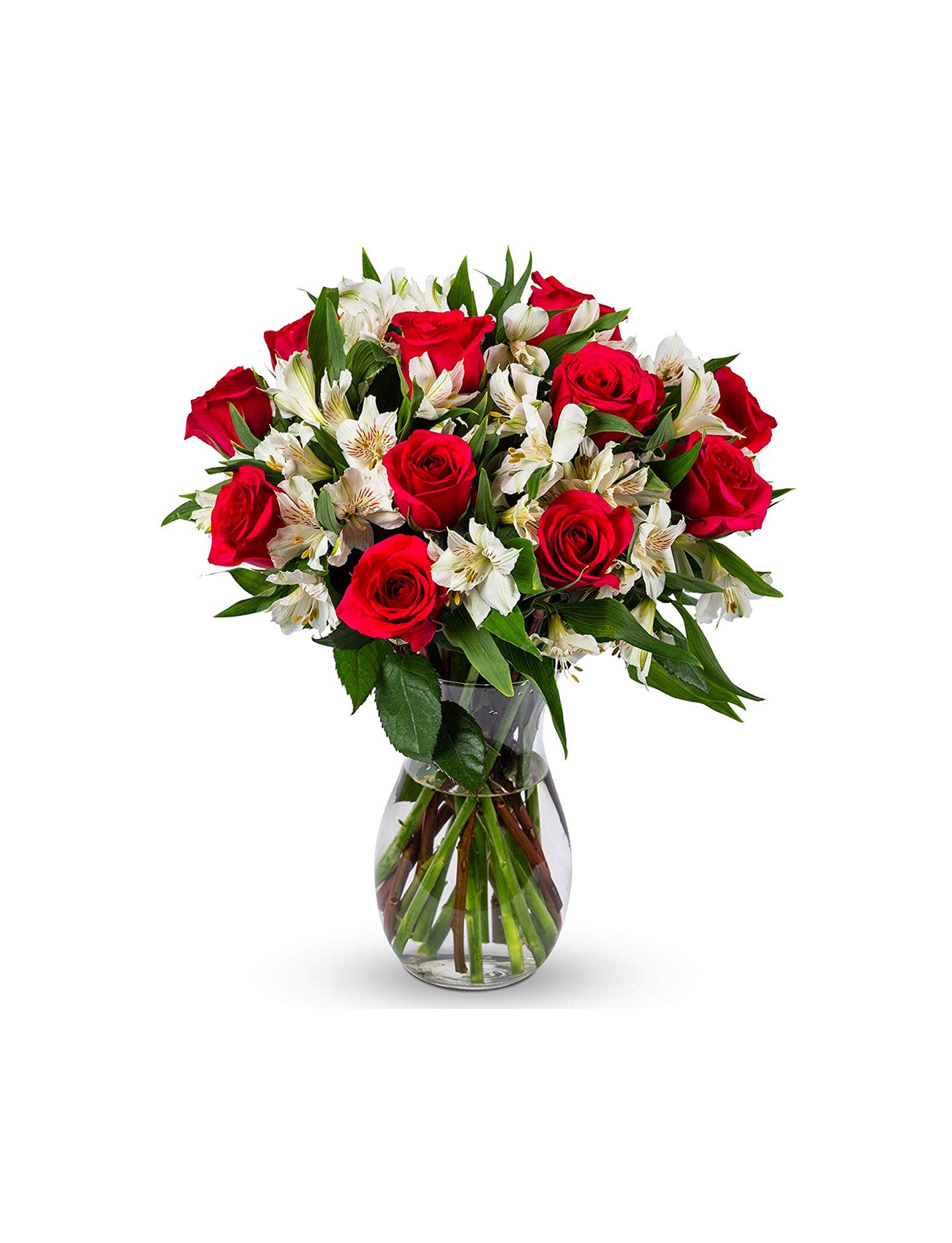 Flower auctor red tulip